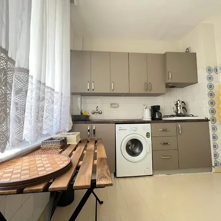 Large And Simple Family House In Center Apartment *