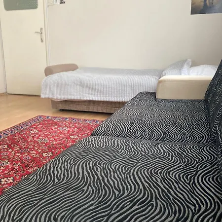 Large And Simple Family House In Center Apartment
