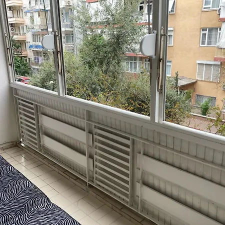 Large And Simple Family House In Center Apartment *