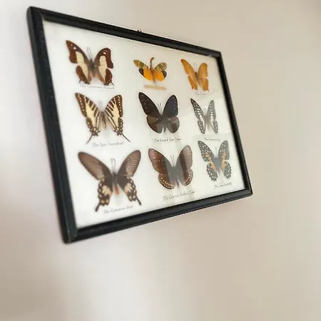 Large And Cosy Family House In Center *