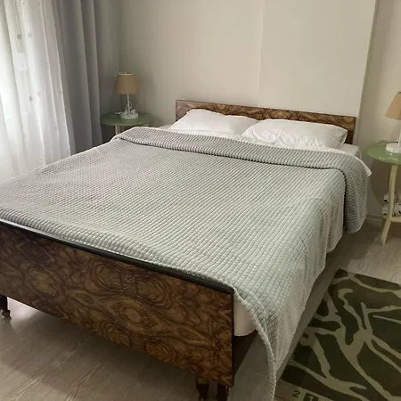 Large And Cosy Family House In Center Apartment